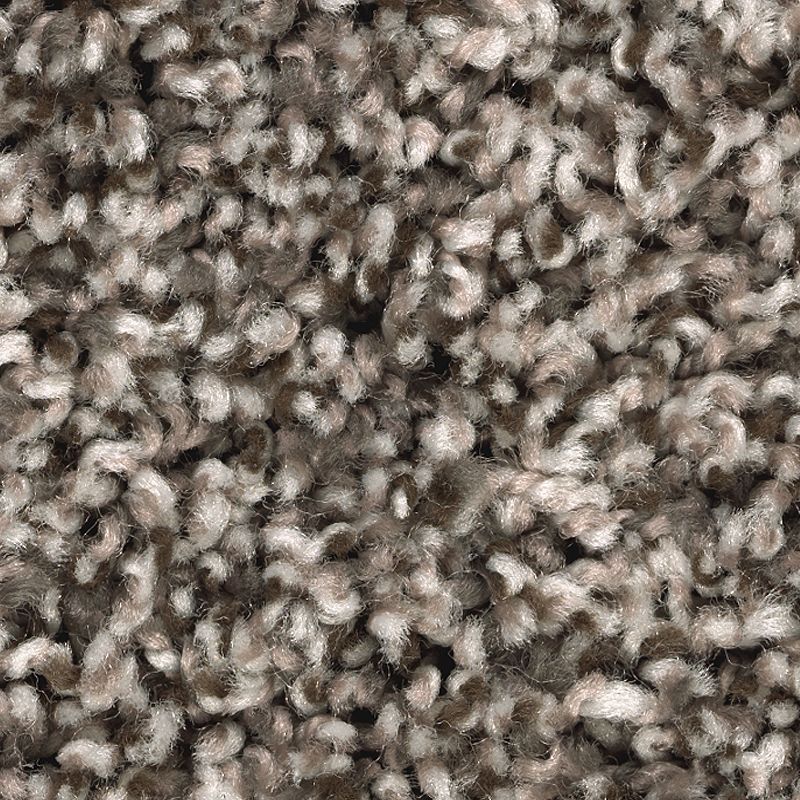 Artist's Slate 937 Stonewood 25 oz. Triexta Smartstrand Texture Indoor Carpet Flooring 12' Feet Wide (9 sf / yd)