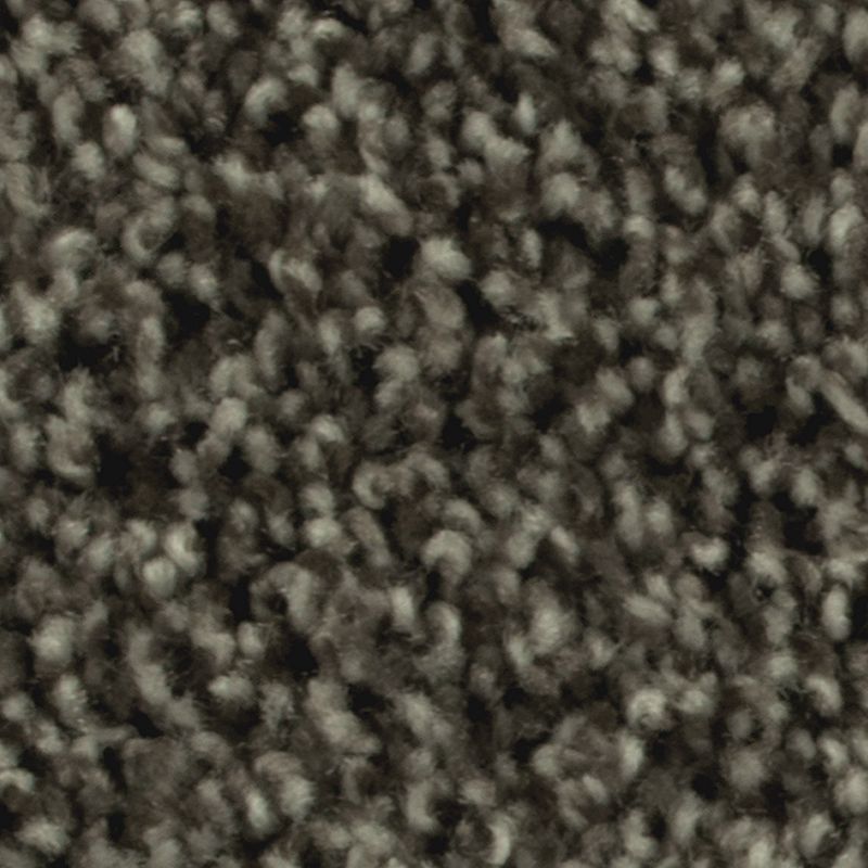 Artistic Allure 978 Stormy Night 32 oz. Triexta Smartstrand Texture Indoor Carpet Flooring 12' Feet Wide (9 sf / yd)