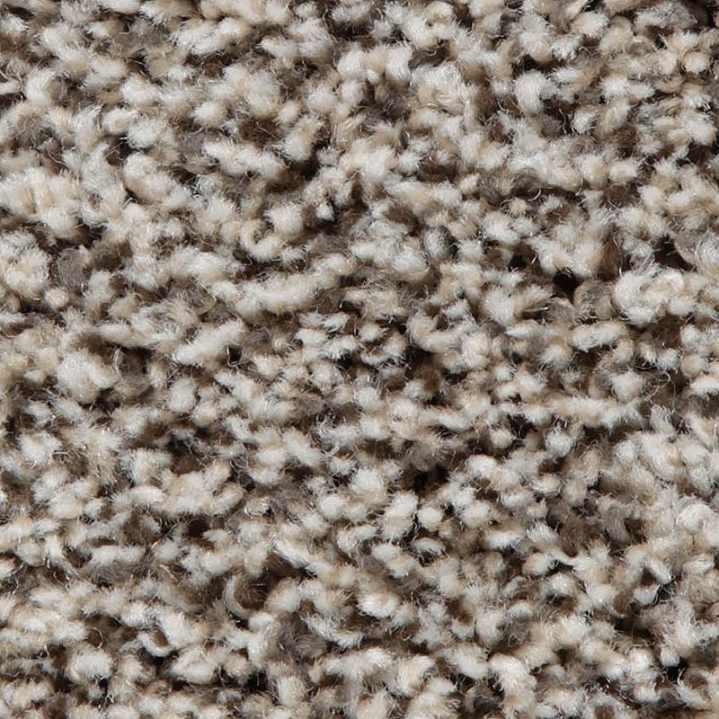 Artistic Retreat 742 Antique Ice 42 oz. Triexta Smartstrand Texture Indoor Carpet Flooring 12' Feet Wide (9 sf / yd)