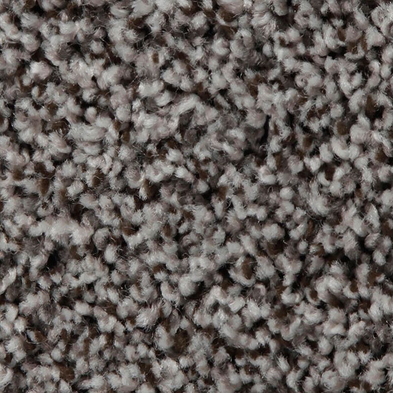 Artistic Retreat 939 Amazon Star 42 oz. Triexta Smartstrand Texture Indoor Carpet Flooring 12' Feet Wide (9 sf / yd)