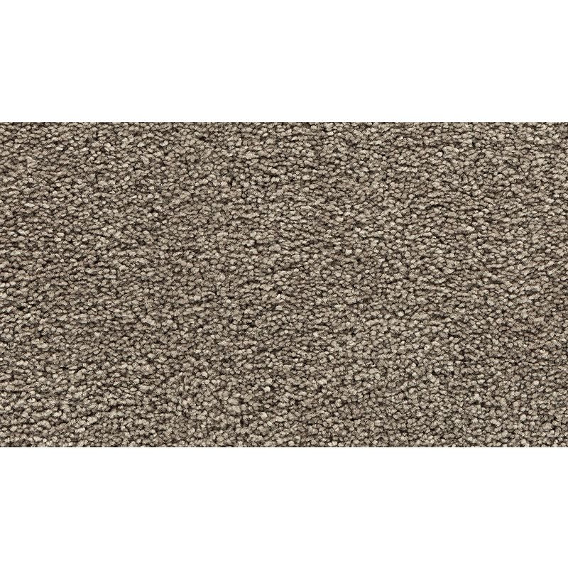 Bold Choice 839 Aberdeen 70 oz. Polyester Everstrand Texture Indoor Carpet Flooring 12' Feet Wide (9 sf / yd)