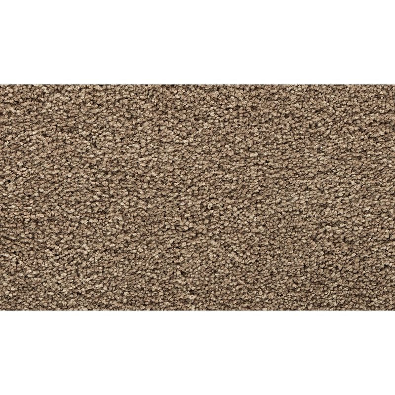 Bold Choice 852 Navajo Path 70 oz. Polyester Everstrand Texture Indoor Carpet Flooring 12' Feet Wide (9 sf / yd)