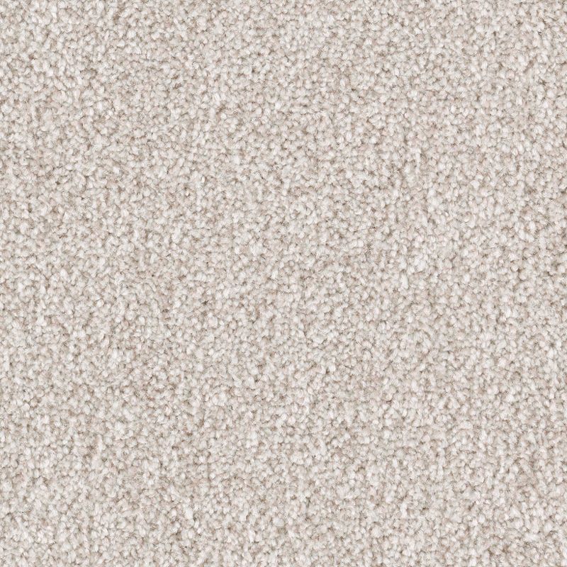 Brilliant Idea 572 Haven 65 oz. Triexta Smartstrand Texture Indoor Carpet Flooring 12' Feet Wide (9 sf / yd)