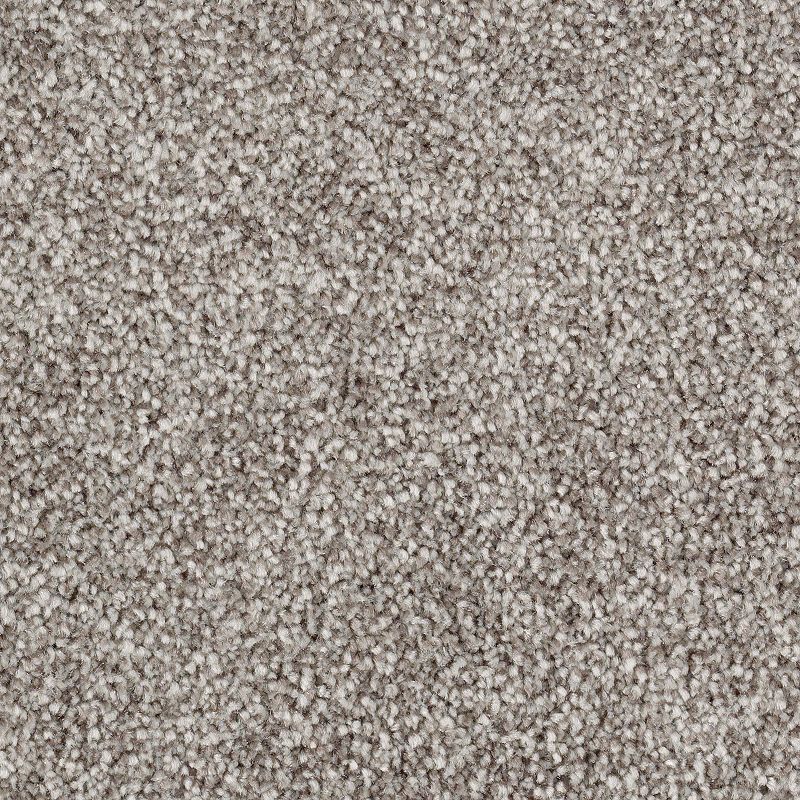 Brilliant Idea 576 Espresso 65 oz. Triexta Smartstrand Texture Indoor Carpet Flooring 12' Feet Wide (9 sf / yd)