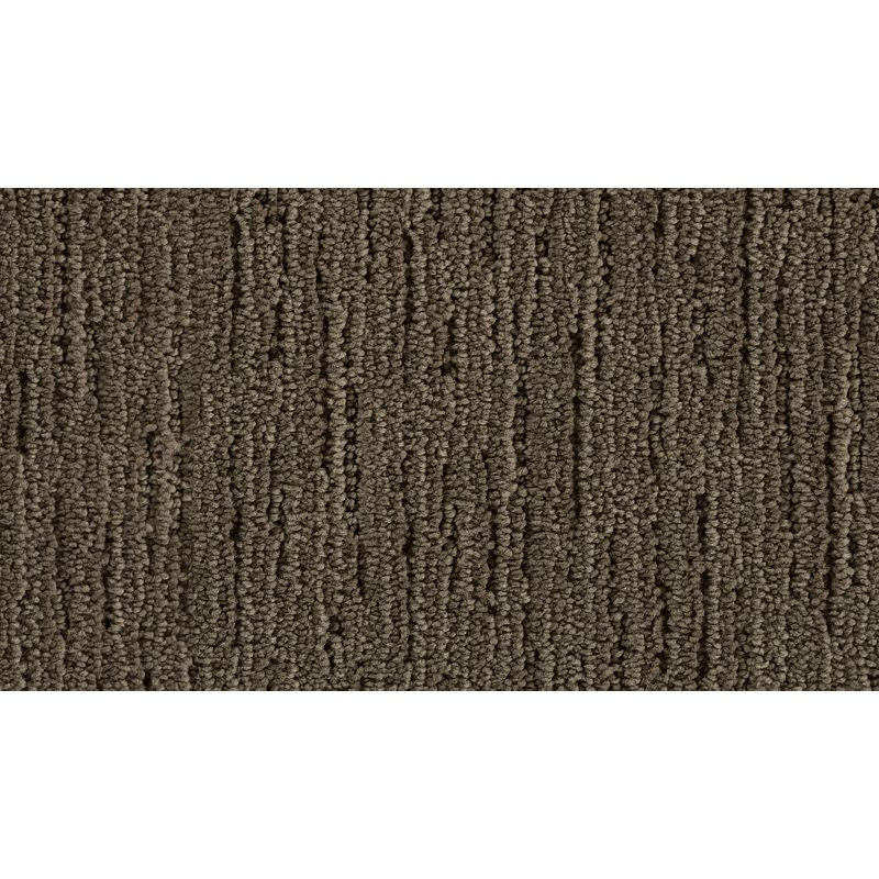 Charming Approach 958 Winter Bird 46 oz. Triexta Smartstrand Silk Pattern Indoor Carpet Flooring 12' Feet Wide (9 sf / yd)