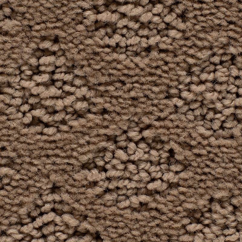 Classic Style 781 Basketweave 25 oz. Triexta Smartstrand Pattern Indoor Carpet Flooring 12' Feet Wide (9 sf / yd)