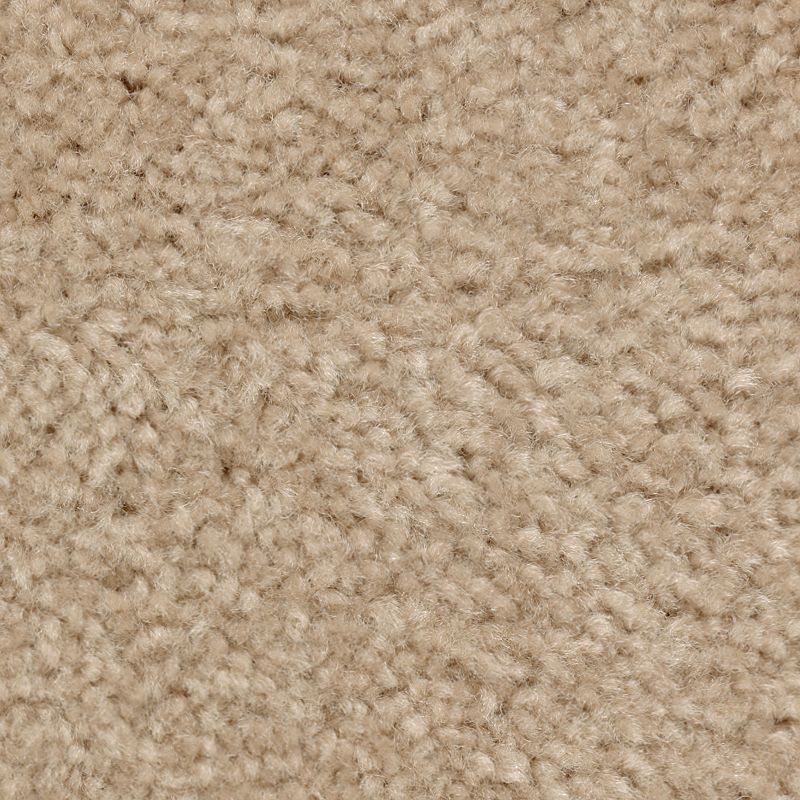Classical Design III 778 Sandcastle 58 oz. Triexta Smartstrand Texture Indoor Carpet Flooring 12' Feet Wide (9 sf / yd)