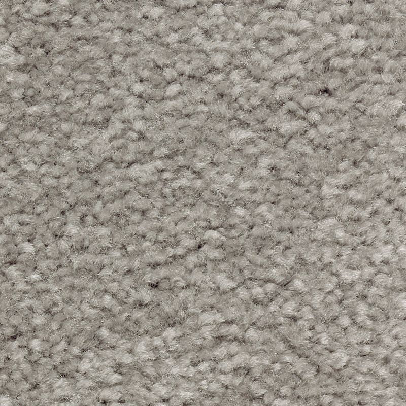 Classical Design III 955 Foil 58 oz. Triexta Smartstrand Texture Indoor Carpet Flooring 12' Feet Wide (9 sf / yd)