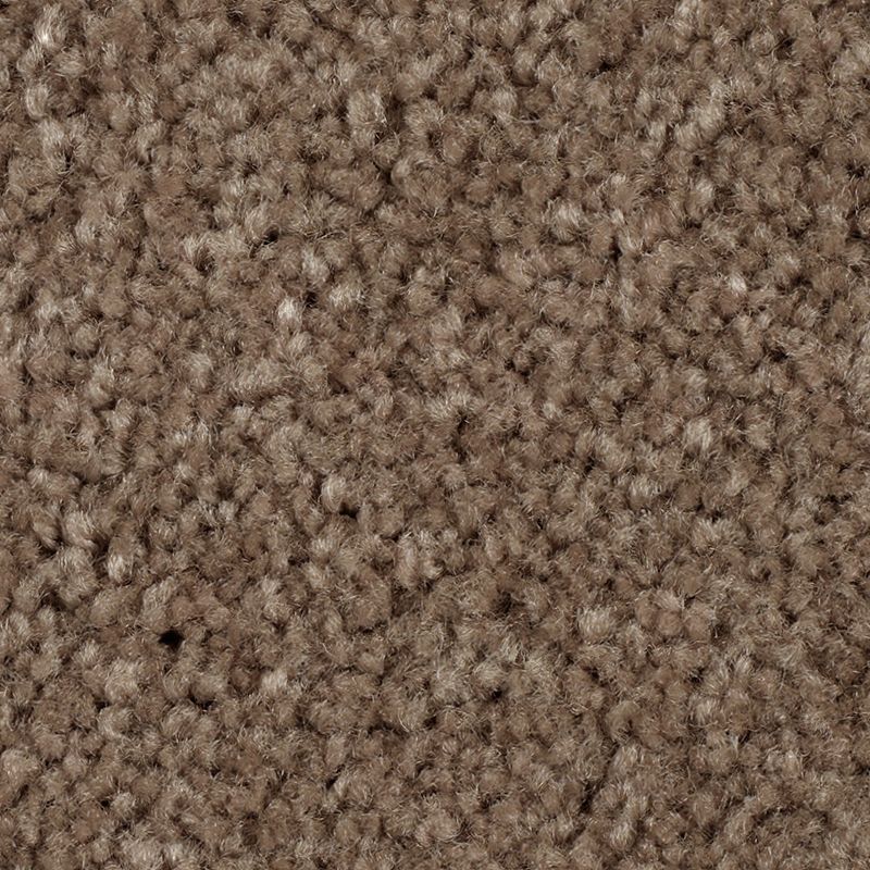 Classical Design I 857 Ghost Town 38 oz. Triexta Smartstrand Texture Indoor Carpet Flooring 12' Feet Wide (9 sf / yd)