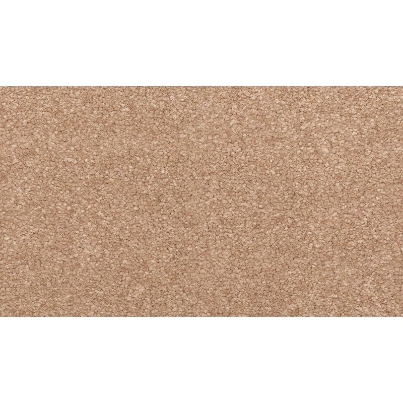 Classical Design I 864 Spiced Tea 38 oz. Triexta Smartstrand Texture Indoor Carpet Flooring 12' Feet Wide (9 sf / yd)