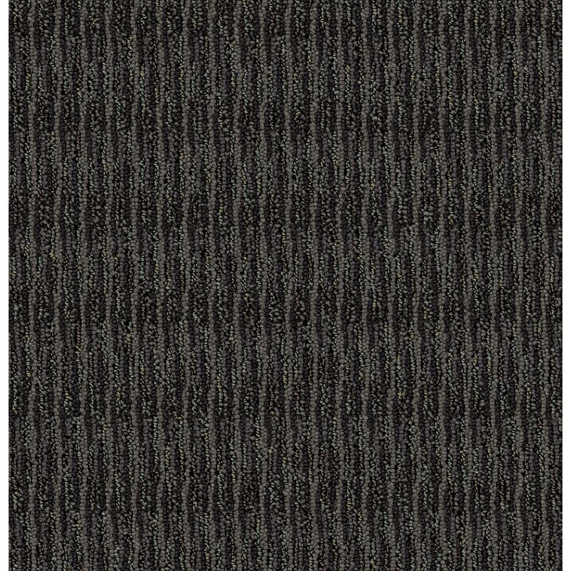 Classify 999 Specify 18 oz. Nylon ColorStrand ND Indoor Loop Broadloom Flooring 12' Feet Wide (9 sf / yd)