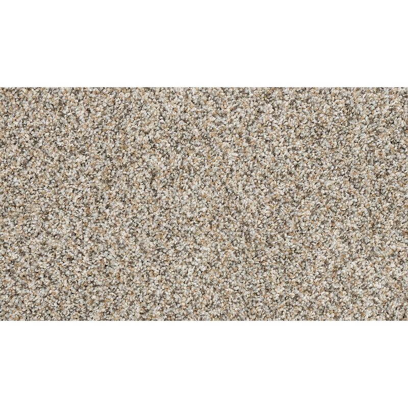 Claws And Effect II 837 Soapstone 58 oz. Polyester Everstrand Texture Indoor Carpet Flooring 12' Feet Wide (9 sf / yd)