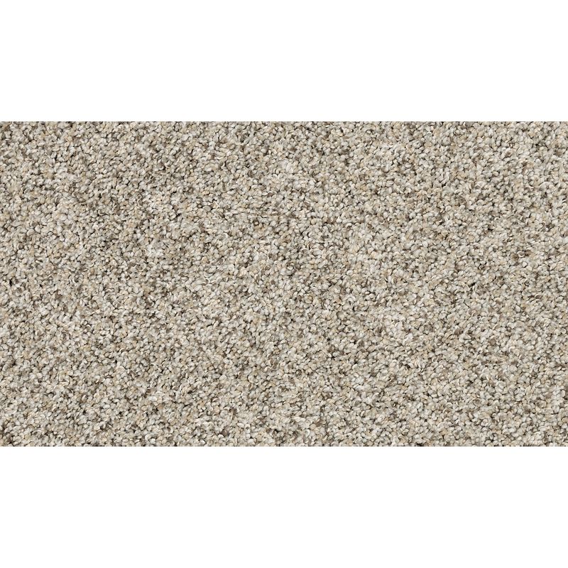 Claws And Effect II 948 Oyster 58 oz. Polyester Everstrand Texture Indoor Carpet Flooring 12' Feet Wide (9 sf / yd)