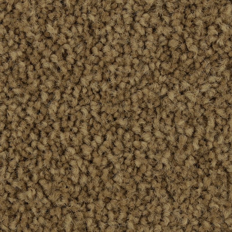 Coastal Fashion II 843 Wild Cattail 45 oz. Nylon Ultrastrand Texture Indoor Carpet Flooring 12' Feet Wide (9 sf / yd)