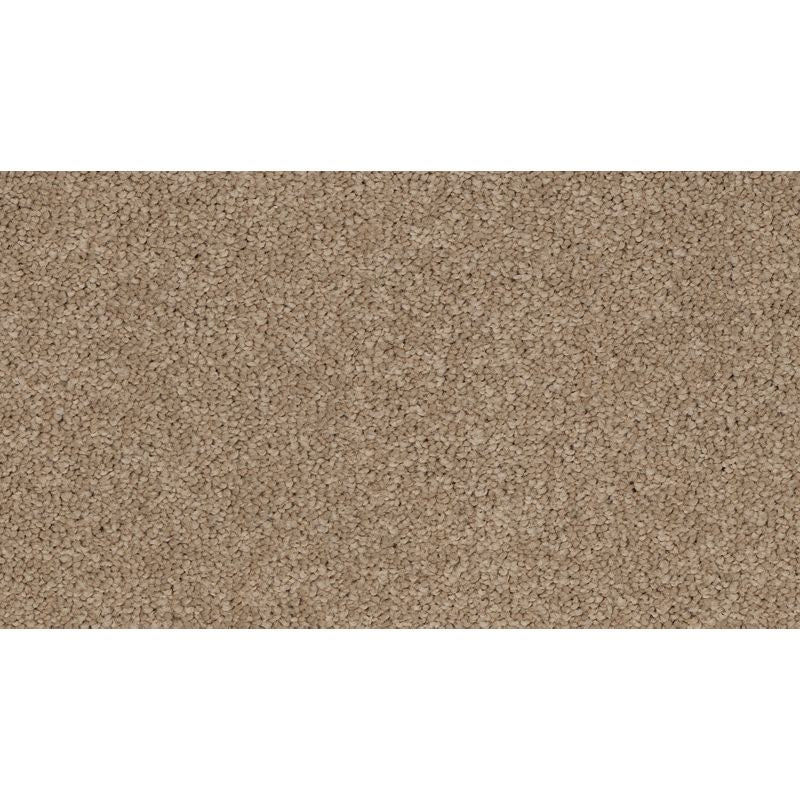 Coastal Fashion I 754 Shoreline 35 oz. Nylon Ultrastrand Texture Indoor Carpet Flooring 12' Feet Wide (9 sf / yd)