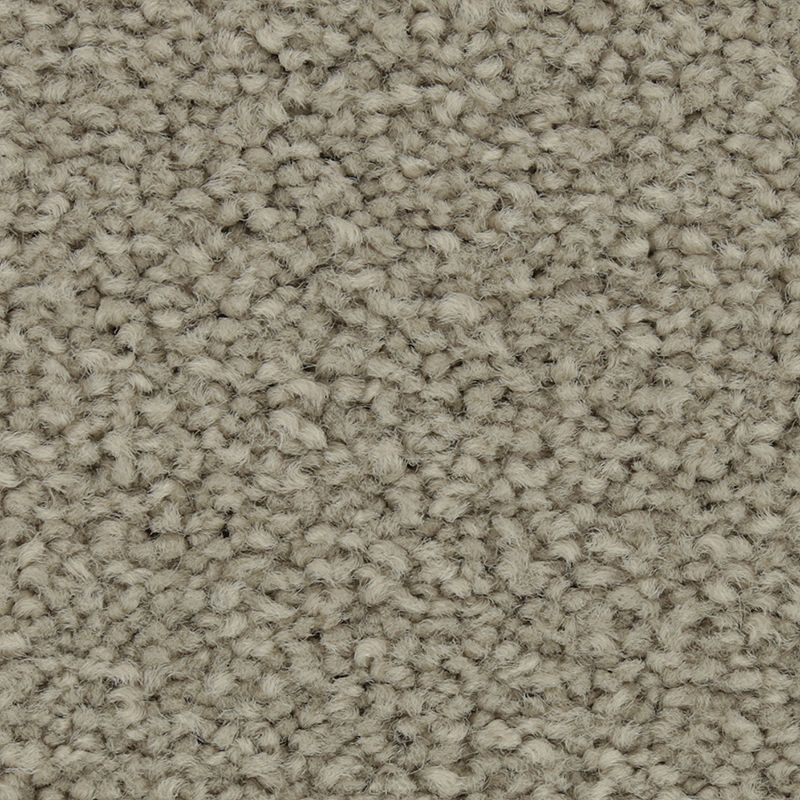 Coastal Fashion I 919 Cumulus 35 oz. Nylon Ultrastrand Texture Indoor Carpet Flooring 12' Feet Wide (9 sf / yd)