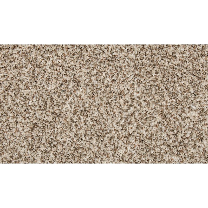 Color Classics II 729 Whirlwind 45 oz. Polyester Everstrand Texture Indoor Carpet Flooring 12' Feet Wide (9 sf / yd)