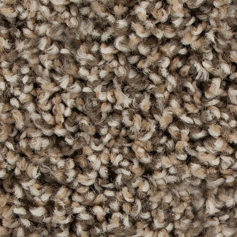 Color Fusion I 789 Bridle 30 oz. Polyester Everstrand Texture Indoor Carpet Flooring 12' Feet Wide (9 sf / yd)