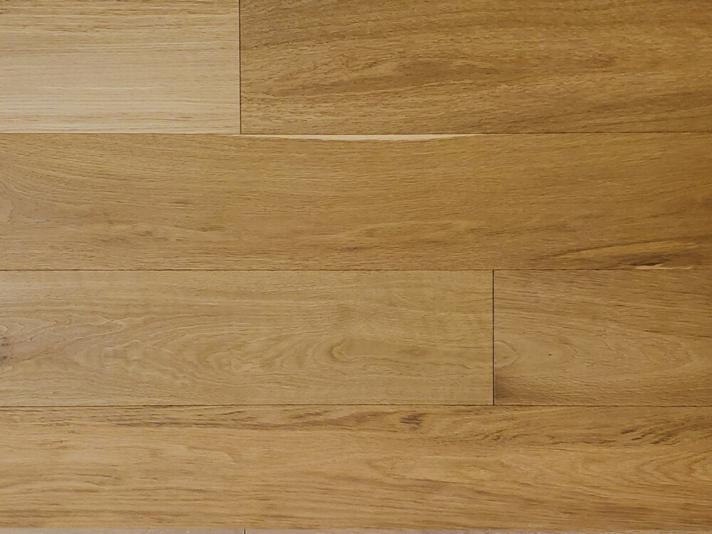 Contempo_Lunette_CNLU004_01.jpg