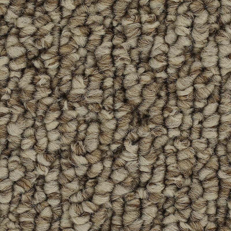 Cozy Classic 853 Ancient Treasure 25 oz. Polyester Everstrand Loop Indoor Carpet Flooring 12' Feet Wide (9 sf / yd)