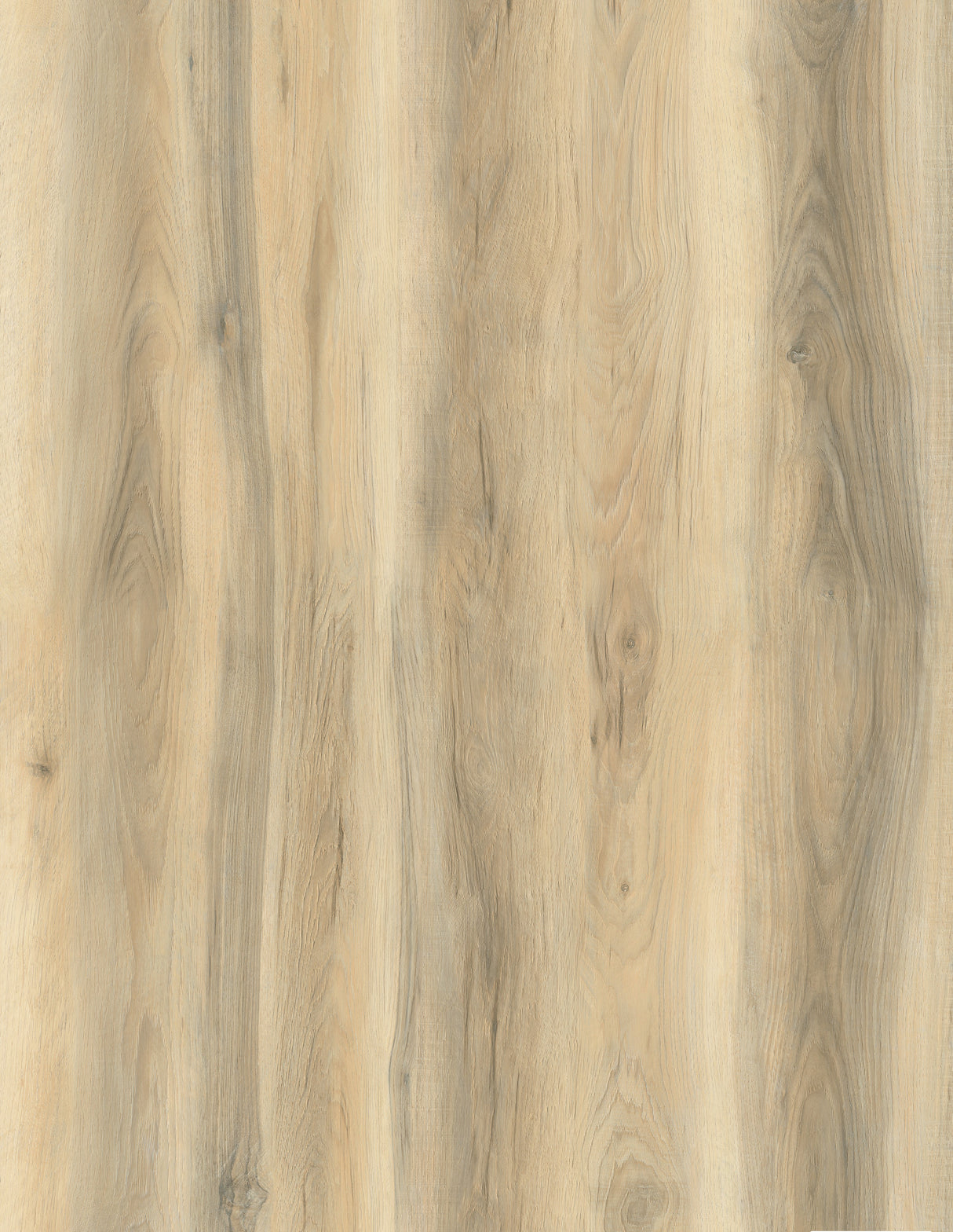 D Series D-06 Sand Oak 7 mm T x 9.06" In W x 60.25" In L 20 Mil SPC Click-Lock Waterproof Vinyl Plank Flooring (22.72 sf / box)