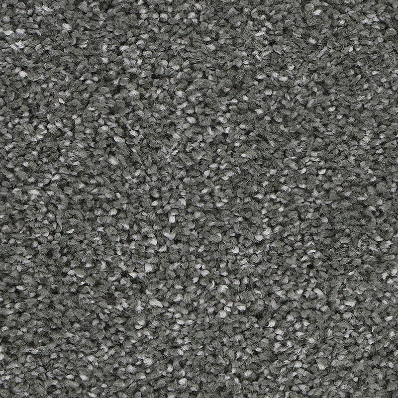 Delicate Tones I 973 Alden Charcoal 40 oz. Triexta Smartstrand Silk Texture Indoor Carpet Flooring 12' Feet Wide (9 sf / yd)