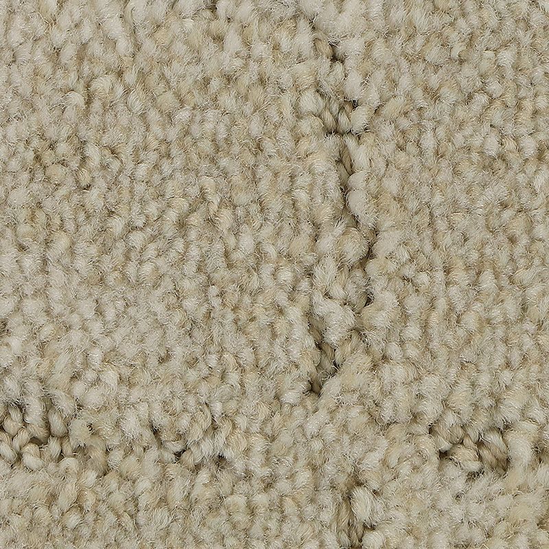 Elaborate Appeal 718 Luxury 38 oz. Polyester Everstrand Soft Appeal Pattern Indoor Carpet Flooring 12' Feet Wide (9 sf / yd)