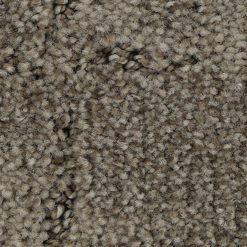 Elaborate Appeal 759 Fleece 38 oz. Polyester Everstrand Soft Appeal Pattern Indoor Carpet Flooring 12' Feet Wide (9 sf / yd)