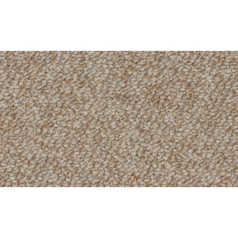 Enduring Amazement 800 Wrangler 28 oz. Polyester Everstrand Loop Indoor Carpet Flooring 12' Feet Wide (9 sf / yd)