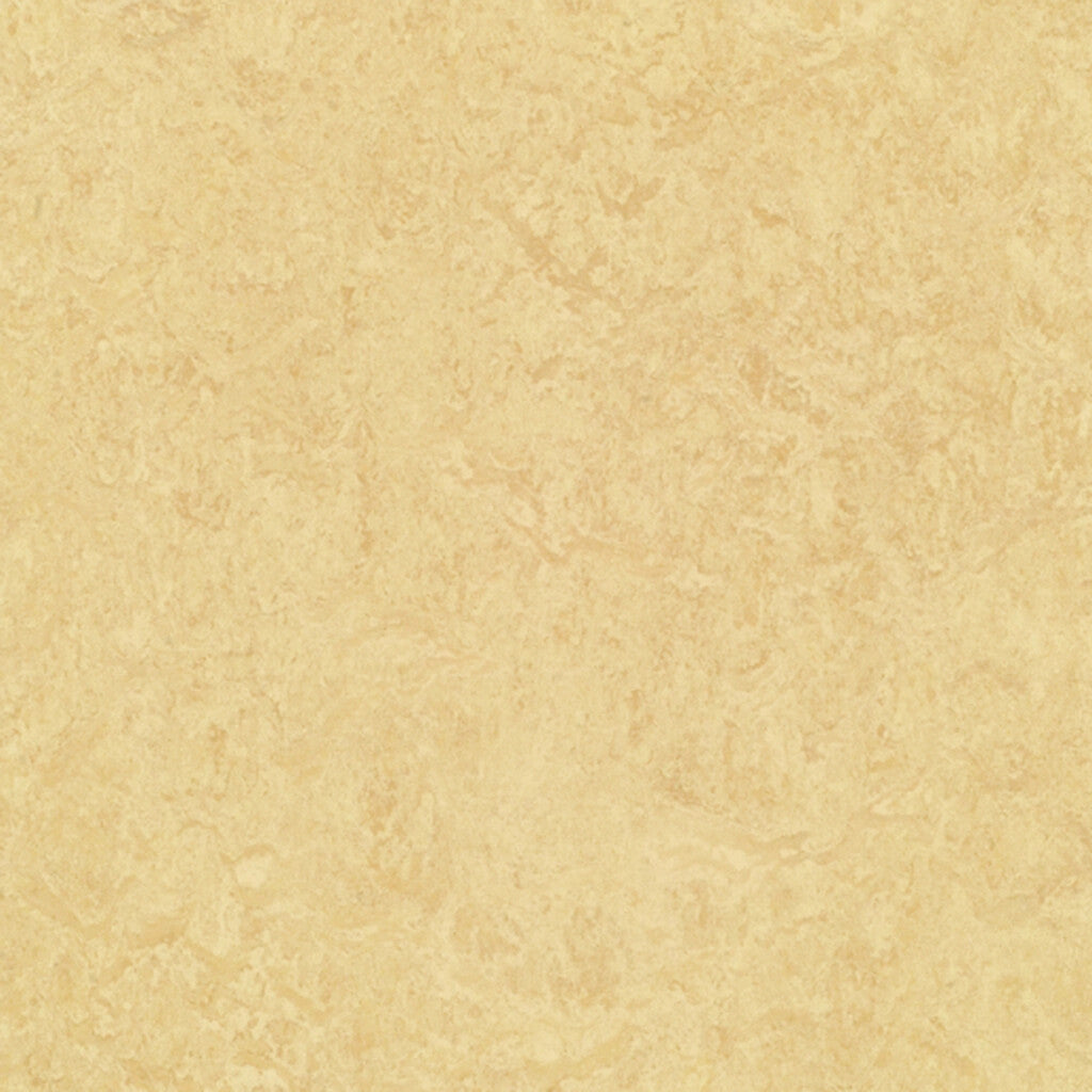 Marmoleum MCT-795 Butter 2 mm T x 13.11" In W x 13.11" In L Homogeneous Eco-Friendly Linoleum Tile Flooring (56.82 sf / box)