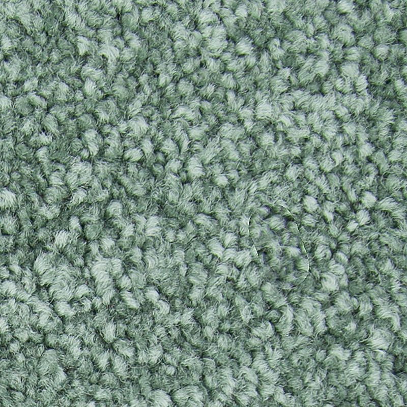 Memorable View 530 Aloe 70 oz. Triexta Smartstrand Texture Indoor Carpet Flooring 12' Feet Wide (9 sf / yd)
