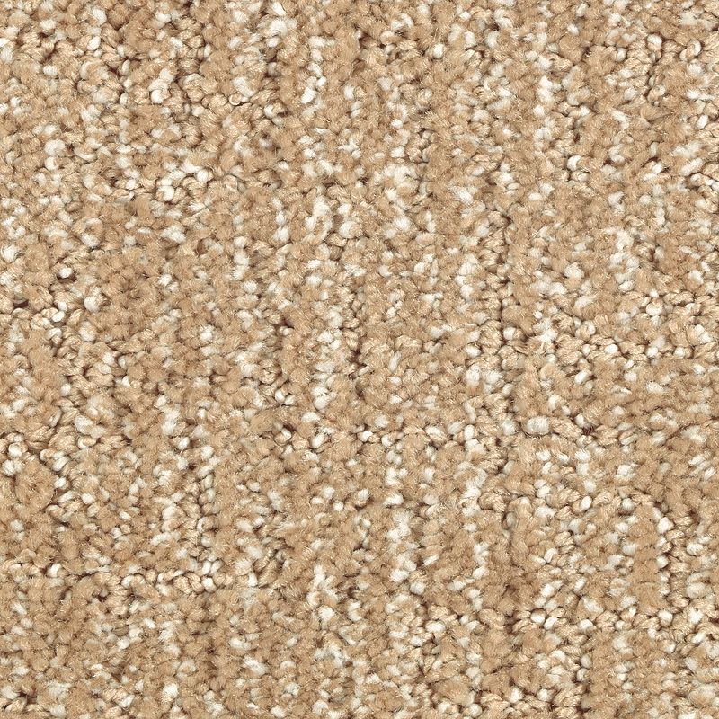Natural Artistry 504 Glazed Ginger 46 oz. Triexta Smartstrand Silk Pattern Indoor Carpet Flooring 12' Feet Wide (9 sf / yd)
