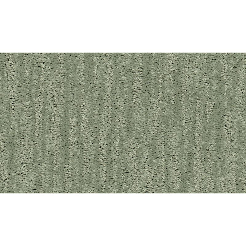Natural Detail 538 Seascape 46 oz. Triexta Smartstrand Silk Pattern Indoor Carpet Flooring 12' Feet Wide (9 sf / yd)