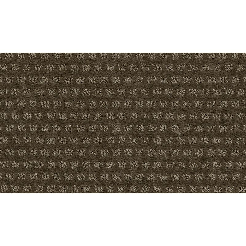 Natural Intuition 506 Earthworks 32 oz. Triexta Smartstrand Pattern Indoor Carpet Flooring 12' Feet Wide (9 sf / yd)