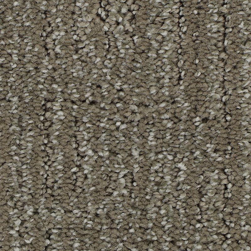 Natural Texture 779 Shadow Taupe 46 oz. Triexta Smartstrand Silk Pattern Indoor Carpet Flooring 12' Feet Wide (9 sf / yd)
