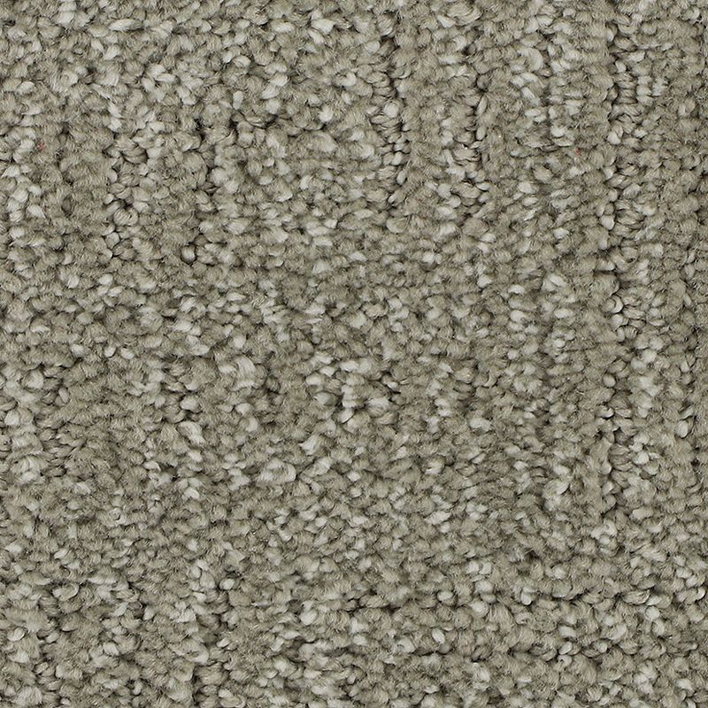 Natural Texture 829 Weathered Wood 46 oz. Triexta Smartstrand Silk Pattern Indoor Carpet Flooring 12' Feet Wide (9 sf / yd)