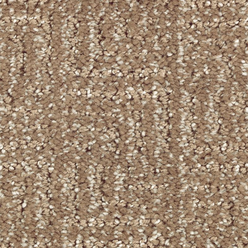 Natural Treasure 512 Nutmeg 46 oz. Triexta Smartstrand Silk Pattern Indoor Carpet Flooring 12' Feet Wide (9 sf / yd)