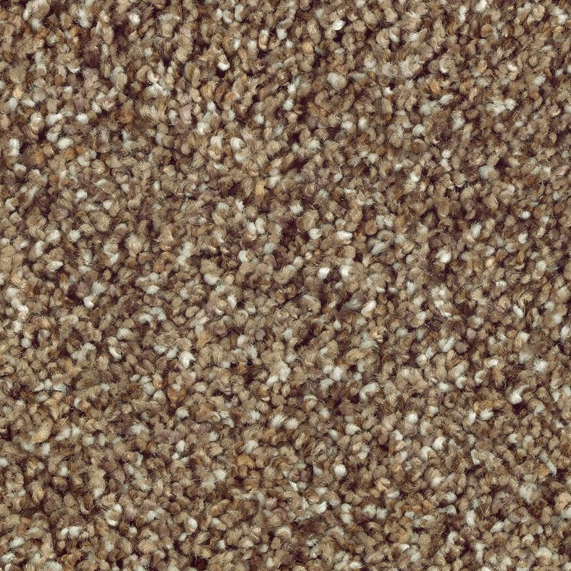 Nature's Luxury II 547 Dried Sage 52 oz. Triexta Smartstrand Silk Texture Indoor Carpet Flooring 12' Feet Wide (9 sf / yd)