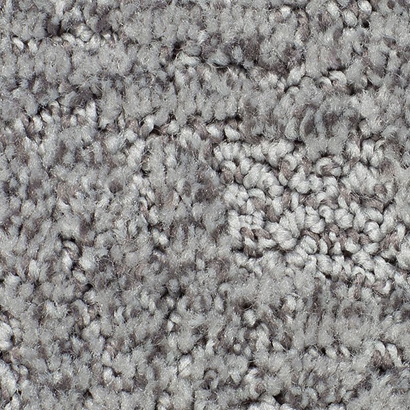 Olivares M17 Iron Tassels 38 oz. Polyester Everstrand Pattern Indoor Carpet Flooring 12' Feet Wide (9 sf / yd)