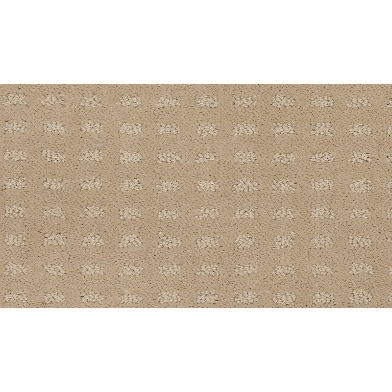 Outstanding Artistry 504 Fragile Beauty 38 oz. Triexta Smartstrand Pattern Indoor Carpet Flooring 12' Feet Wide (9 sf / yd)