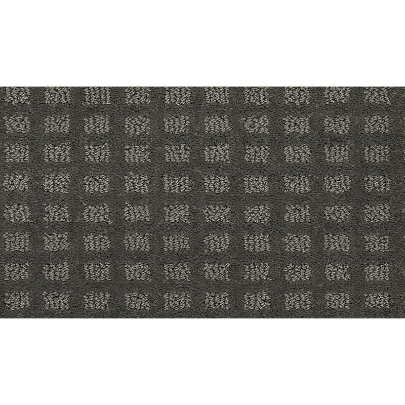 Outstanding Artistry 513 Shadow 38 oz. Triexta Smartstrand Pattern Indoor Carpet Flooring 12' Feet Wide (9 sf / yd)