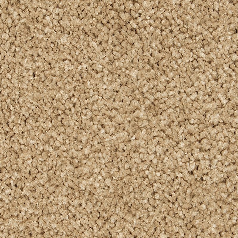 Peaceful Elegance 528 Canterbury 48 oz. Triexta Smartstrand Silk Texture Indoor Carpet Flooring 12' Feet Wide (9 sf / yd)