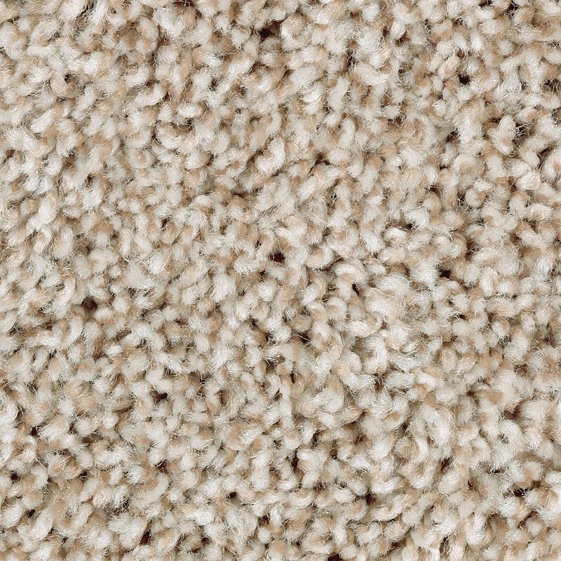 Perfect Attraction 851 Thatch Roof 40 oz. Triexta Smartstrand Texture Indoor Carpet Flooring 12' Feet Wide (9 sf / yd)