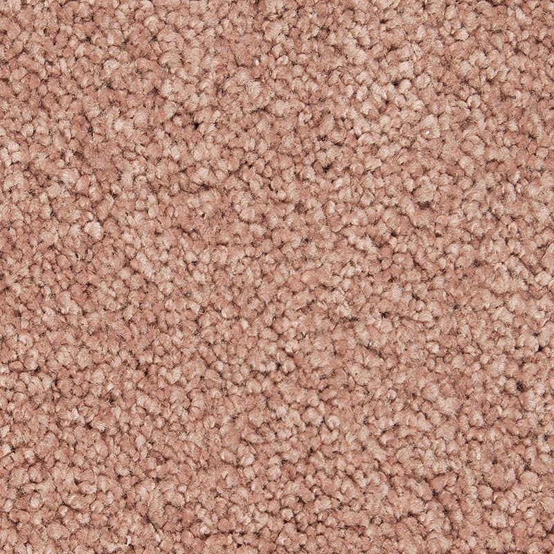 Pleasant Touch 501 Egyptian Pyramid 70 oz. Triexta Smartstrand Silk Texture Indoor Carpet Flooring 12' Feet Wide (9 sf / yd)