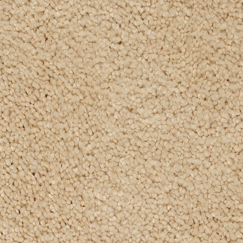 Pleasant Touch 520 Fine Vellum 70 oz. Triexta Smartstrand Silk Texture Indoor Carpet Flooring 12' Feet Wide (9 sf / yd)