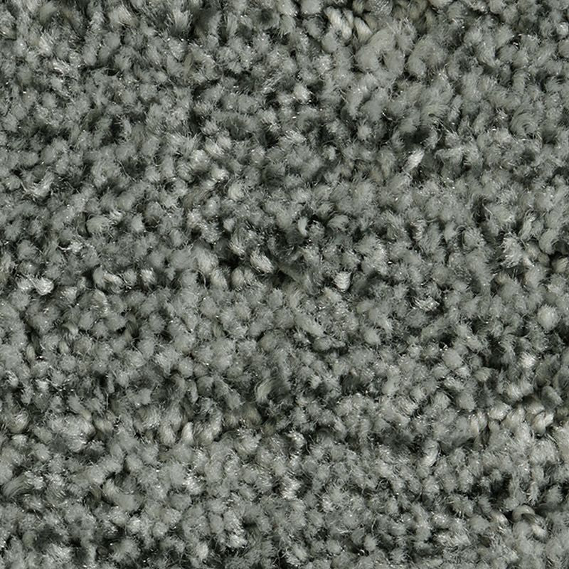 Random Nature 557 Foggy Day 38 oz. Polyester Everstrand Pattern Indoor Carpet Flooring 12' Feet Wide (9 sf / yd)