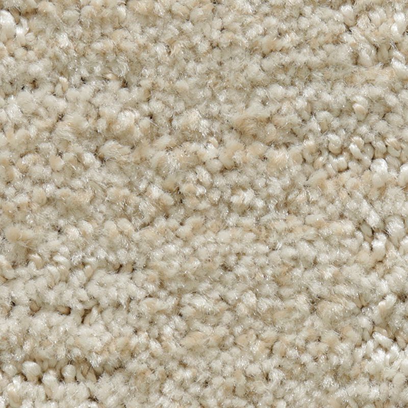 Random Nature 745 Illusion 38 oz. Polyester Everstrand Pattern Indoor Carpet Flooring 12' Feet Wide (9 sf / yd)
