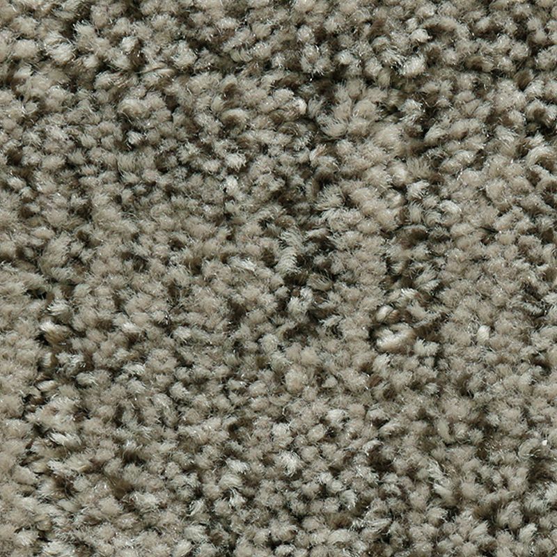 Random Nature 968 Mineral 38 oz. Polyester Everstrand Pattern Indoor Carpet Flooring 12' Feet Wide (9 sf / yd)