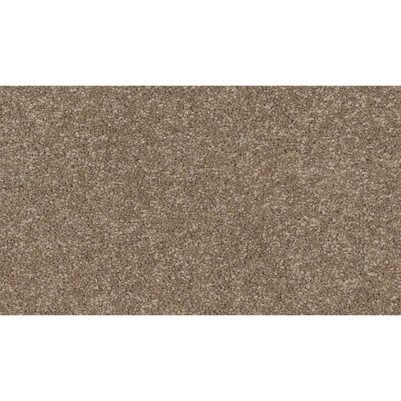 Refined Saga III 864 Camel Stone 60 oz. Polyester Everstrand Texture Indoor Carpet Flooring 12' Feet Wide (9 sf / yd)