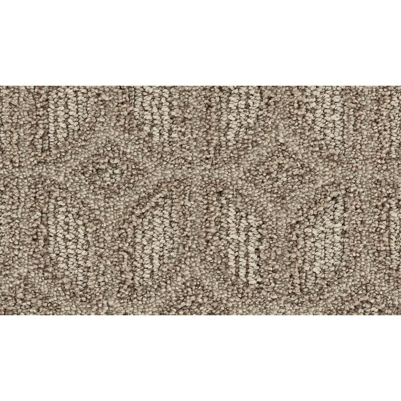Regal Appeal 748 Haven 38 oz. Polyester Everstrand Soft Appeal Pattern Indoor Carpet Flooring 12' Feet Wide (9 sf / yd)